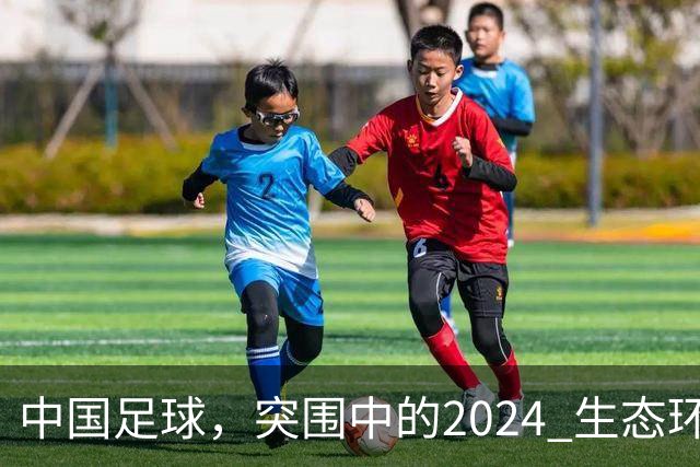 中国足球，突围中的2024 生态环境将实现好转