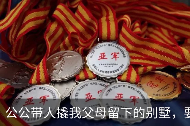 公公带人撬我父母留下的别墅，要卖1500万给小姑子还赌债，我掏出手机报了警，顺便叫来一大群记者
