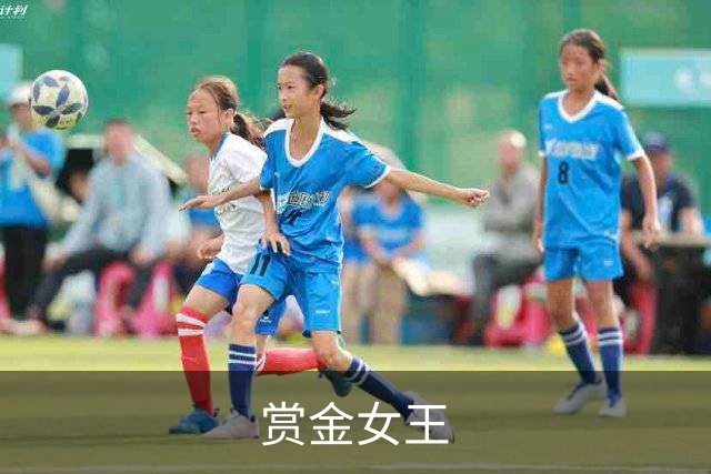 赏金女王公司简介